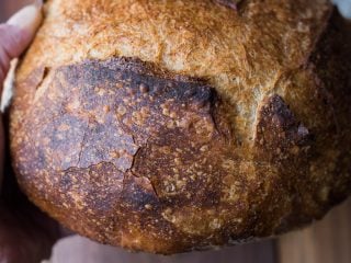 No-Knead Dutch Oven Sourdough Bread (A Beginner's Guide