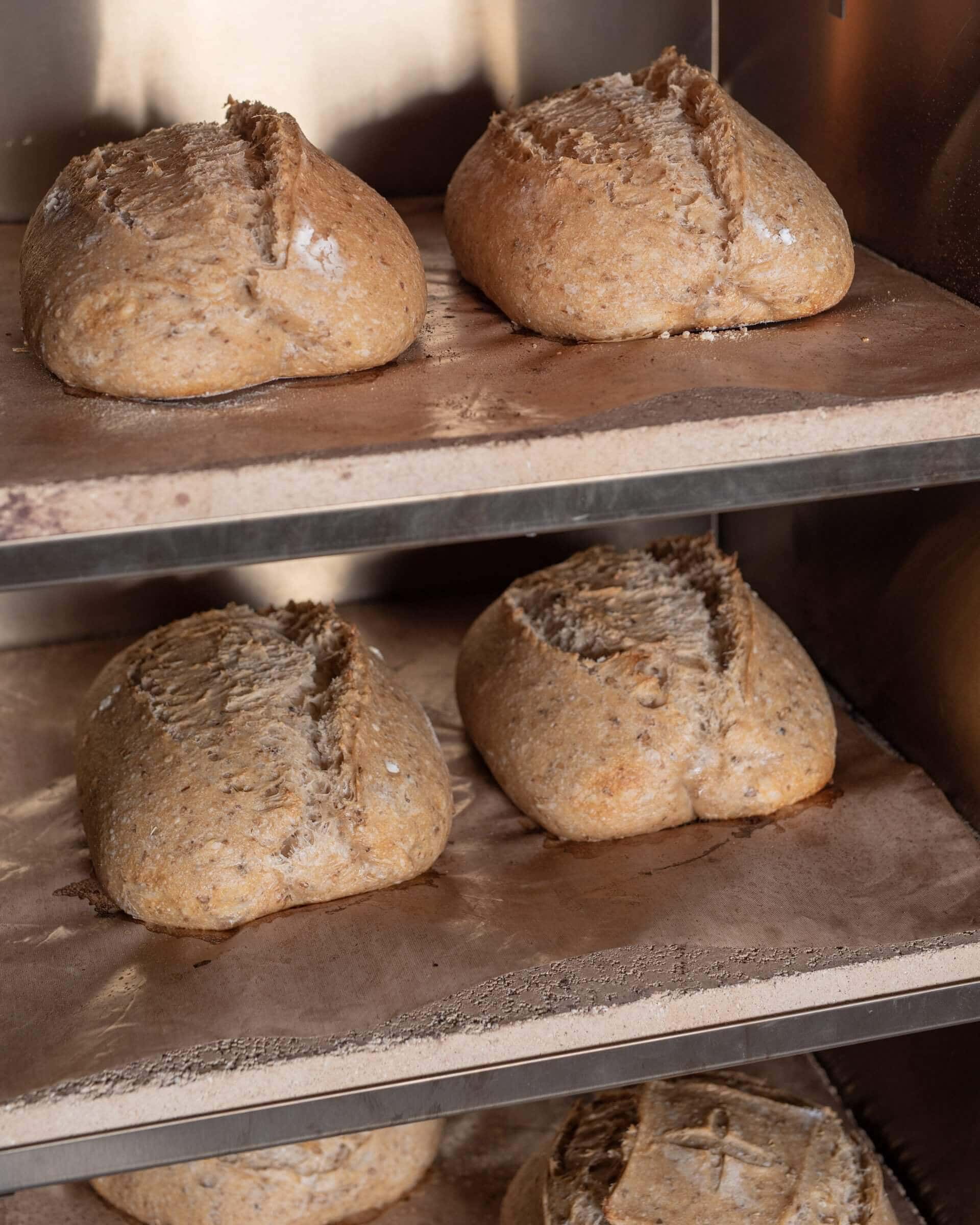https://www.theperfectloaf.com/wp-content/uploads/2019/10/theperfectloaf-rofco-b40-bread-oven-vertical-1-1920x2400.jpg