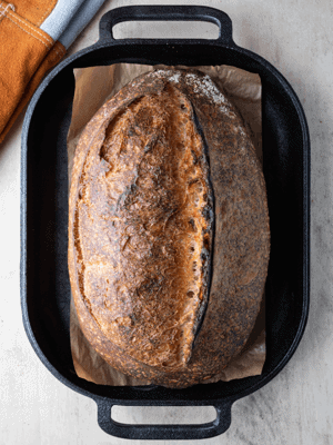 Sourdough Baking Tools — Sourdough Fever