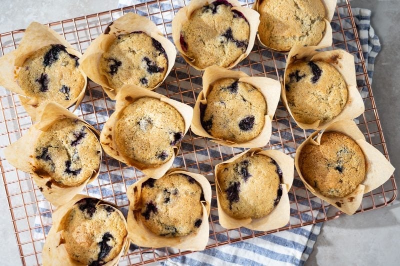 Sourdough Blueberry Muffins | The Perfect Loaf