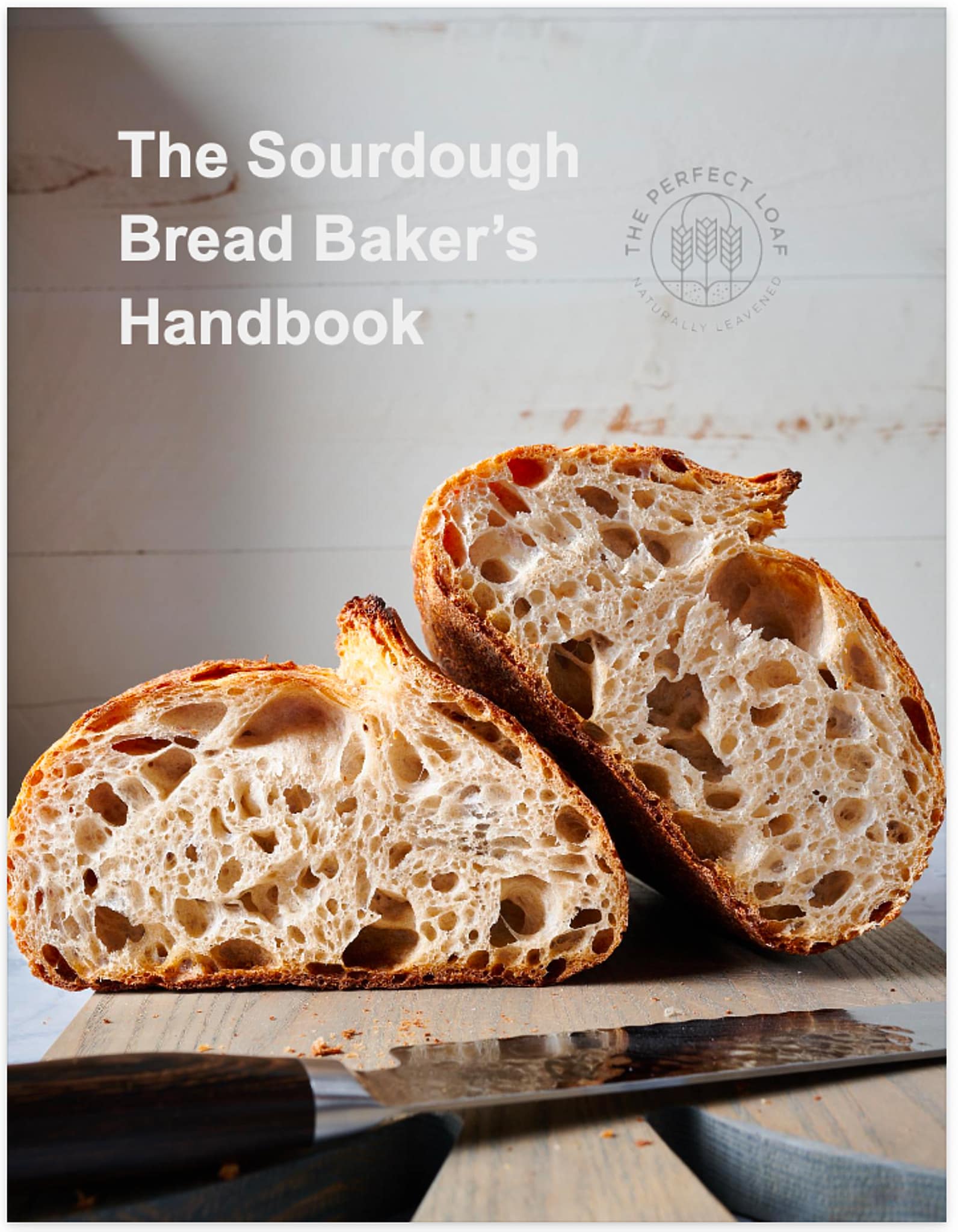 https://www.theperfectloaf.com/wp-content/uploads/2023/04/theperfectloaf_bread_bakers_handbook_cover.jpg